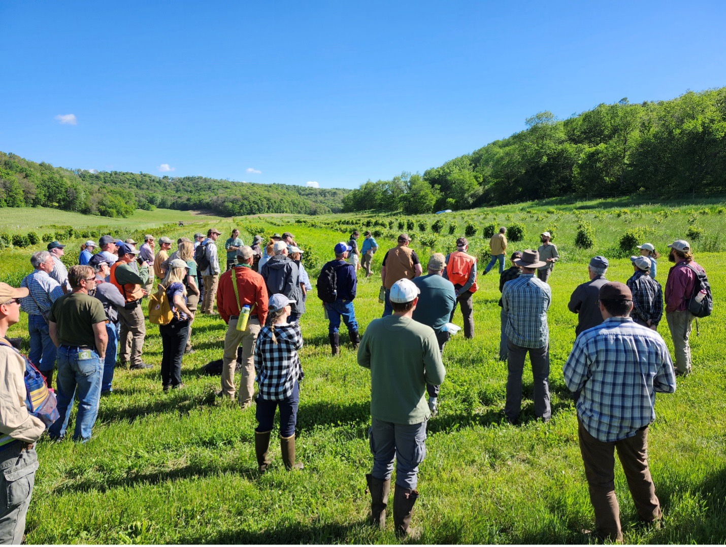 Agroforestry Farm Tour Picture